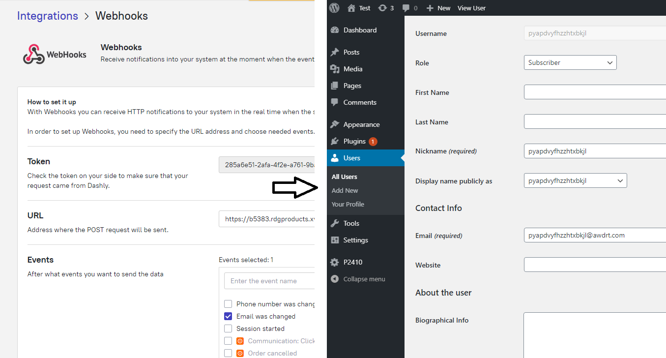 Webhook iš Dashly inicijuojantis automatinį WordPress paskyros sukūrimą – vartotojas sukurtas pateikus el. paštą pokalbių lange.